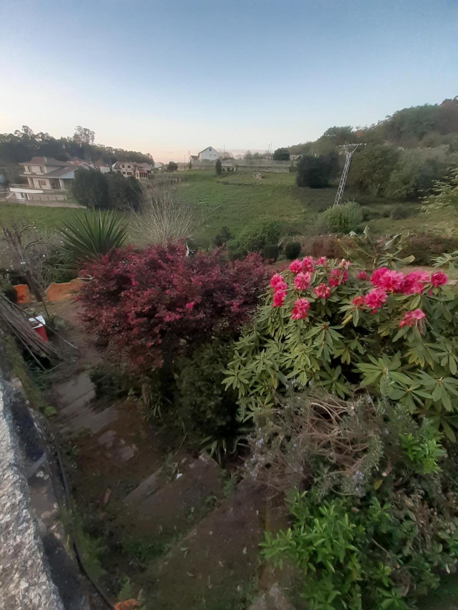 Hostal Casa Martinez Bueu Dış mekan fotoğraf