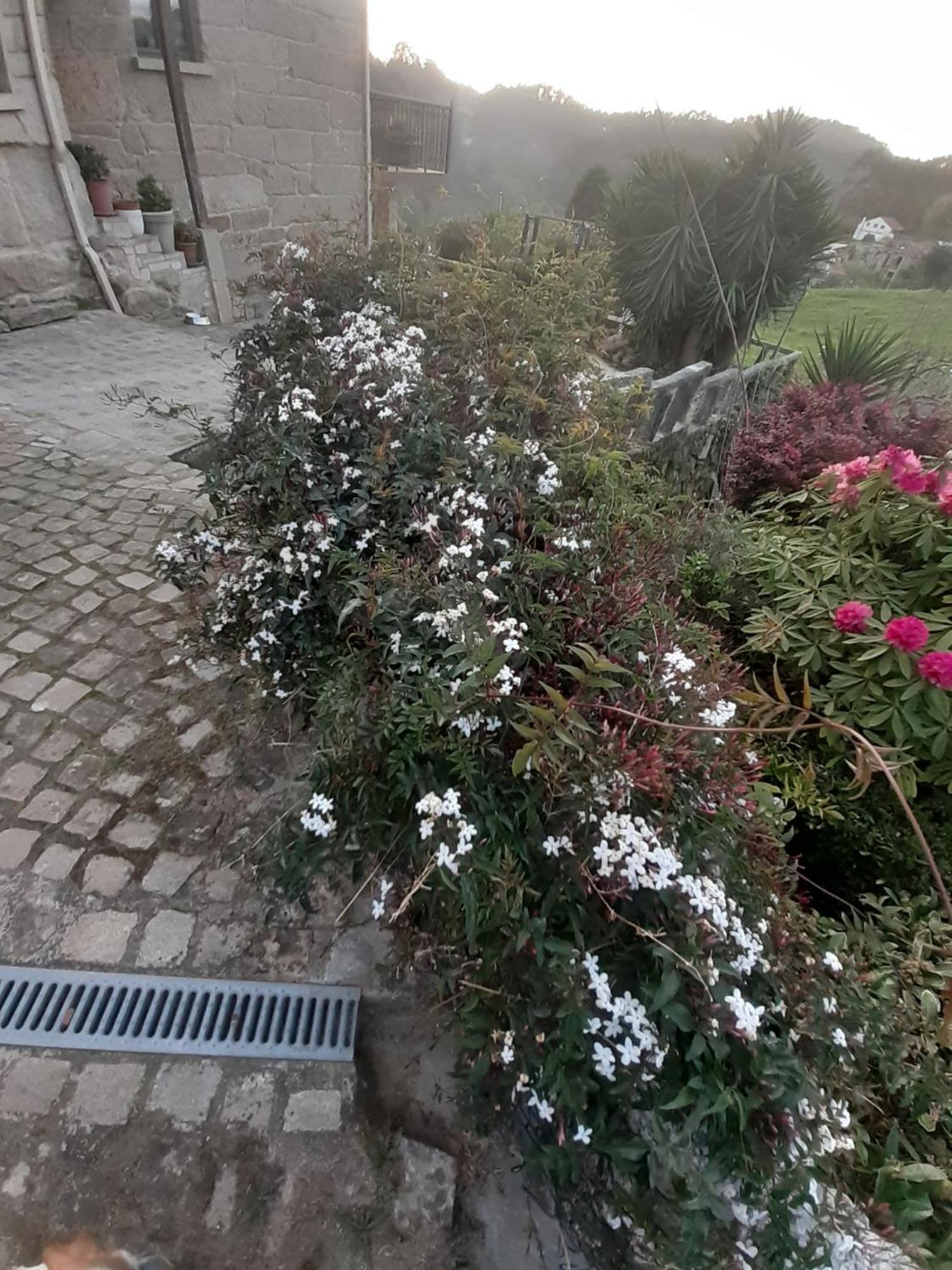 Hostal Casa Martinez Bueu Dış mekan fotoğraf